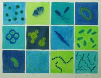 Blue and Green Bacteria Watercolour